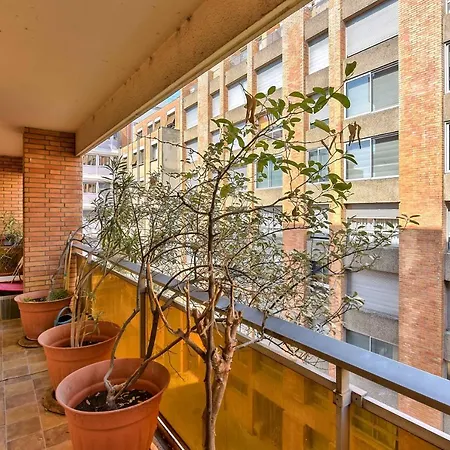 Appartement Large Three-rooms *toulouse Center* Toulouse